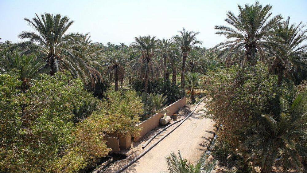 Bafk – zemlja srdačnih i gostoljubivih ljudi